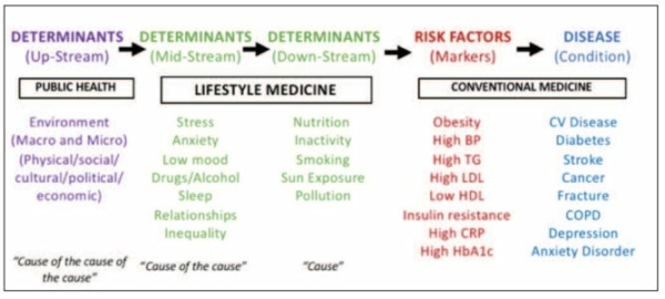 Lifestyle Medicine Education – An Answer To Chronic Disease? - British ...