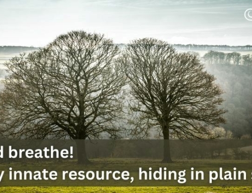 …and breathe! A key innate resource, hiding in plain sight