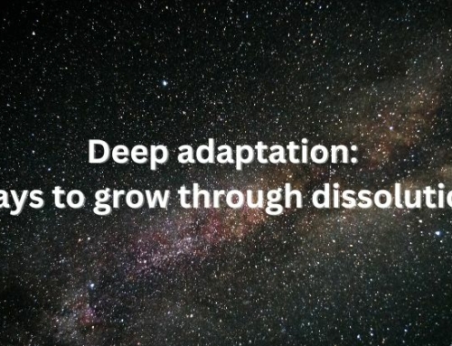 Deep adaptation: ways to grow through dissolution