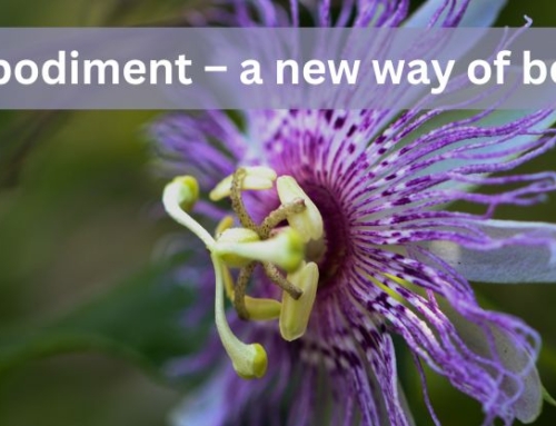 Embodiment – a new way of being