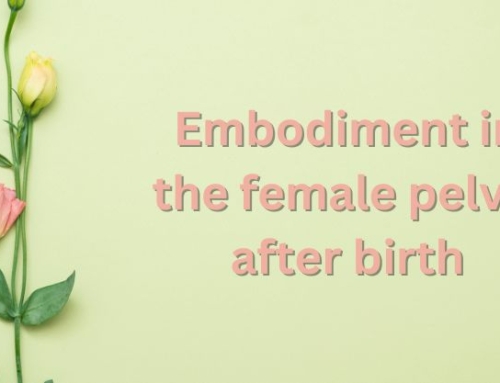 Embodiment in the female pelvis after birth