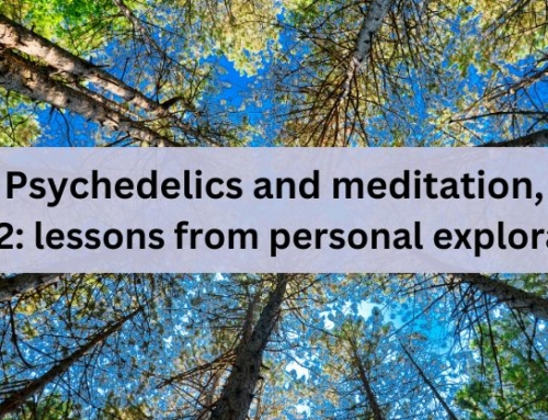 Psychedelics and meditation, part 2: lessons from personal exploration